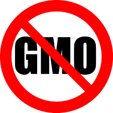 Jakie wsparcie dla rolników stosujących pasze non-GMO