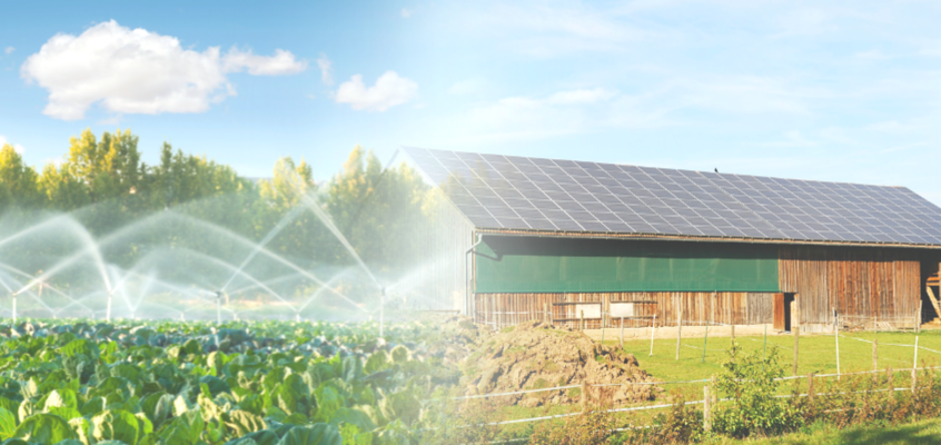 Modernizacja gospodarstw rolnych – wkrótce nabory w obszarach E – nawadnianie i F – zielona energia