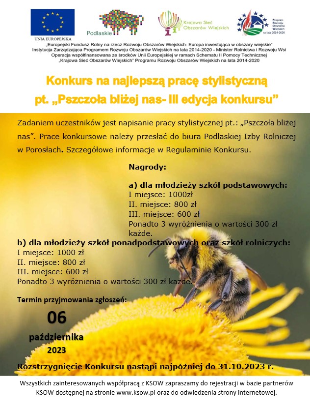 Napisz pracę stylistyczną „Pszczoła bliżej nas- III edycja konkursu” i wygraj do 1.000 zł