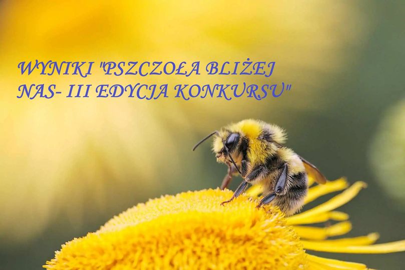 Wyniki „Pszczoła bliżej nas- III edycja konkursu”